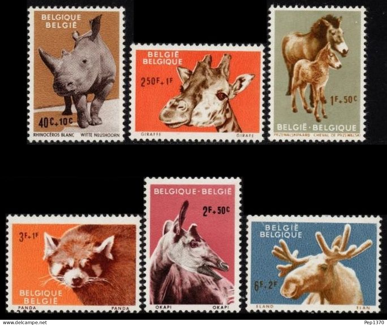 BELGICA 1961 - BELGIQUE - BELGIUM - FAUNA ZOOLOGICO DE AMBERES - ANVERS - YVERT Nº 1182/1187** - Unused Stamps