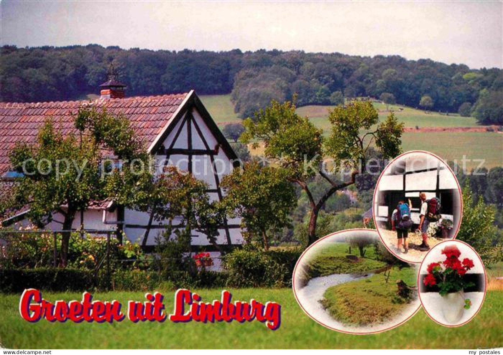 72771385 Limburg Valkenburg Bauerhof Idylle Limburg Valkenburg - Sonstige & Ohne Zuordnung