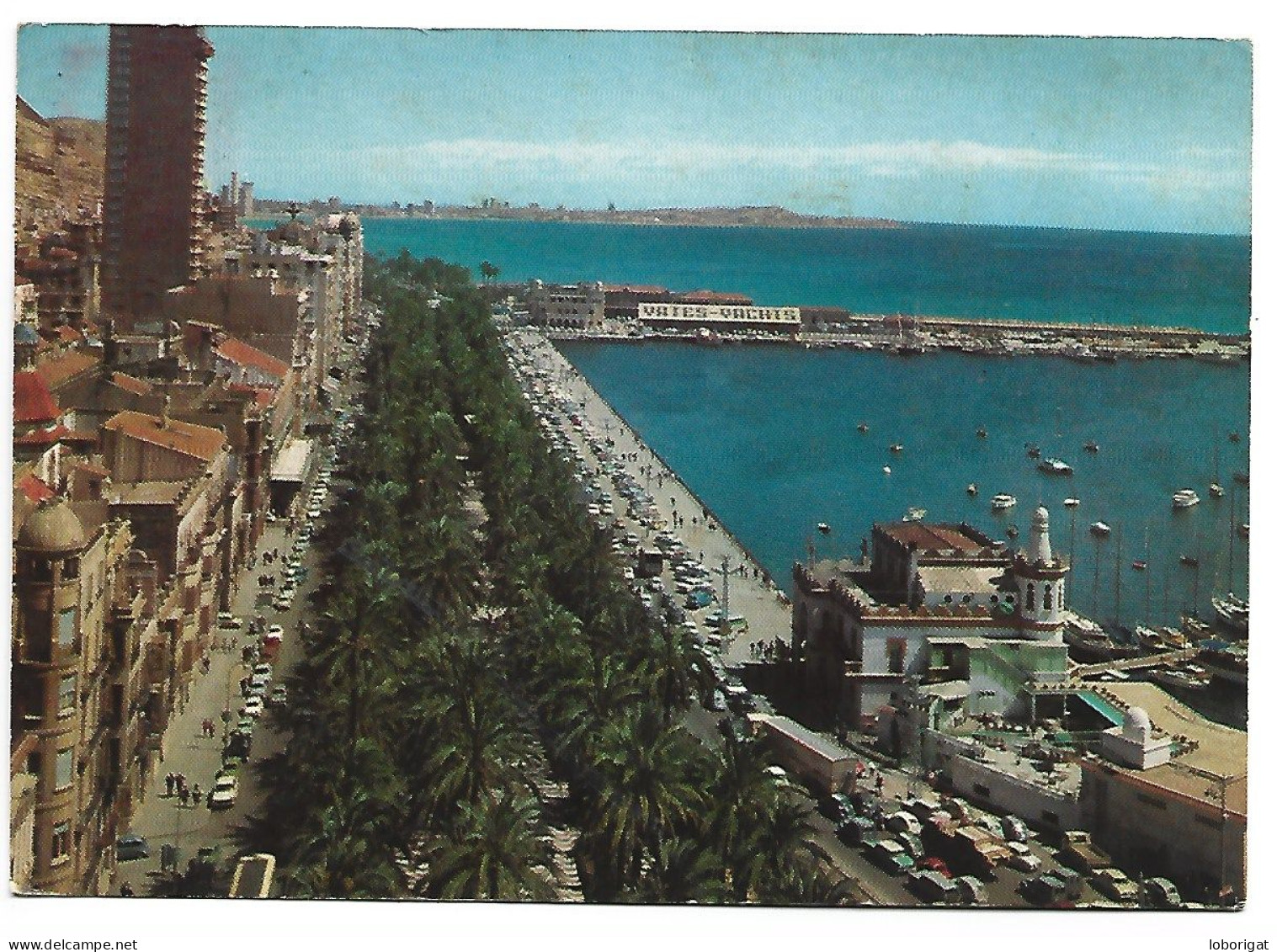 EXPLANADA Y VISTA PARCIAL.- ALICANTE.- ( ESPAÑA ) - Alicante