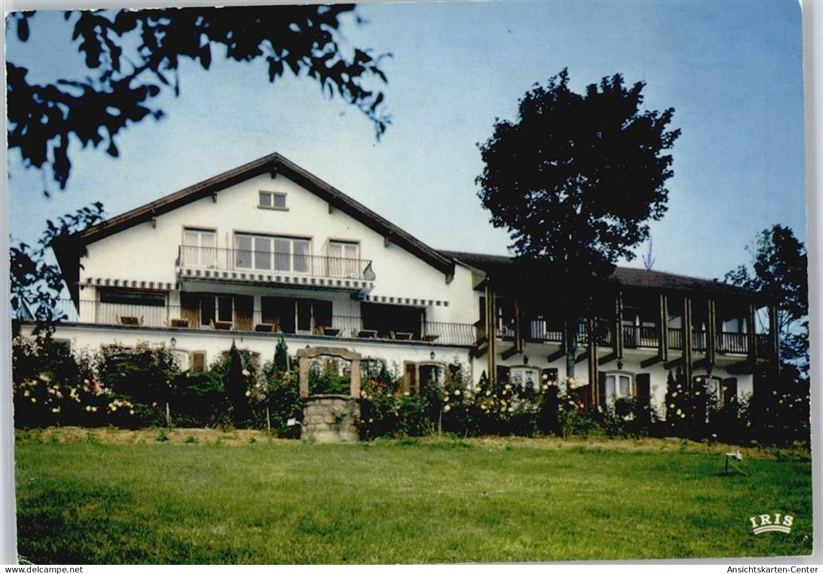 50685109 - Ribeauville - Ribeauvillé