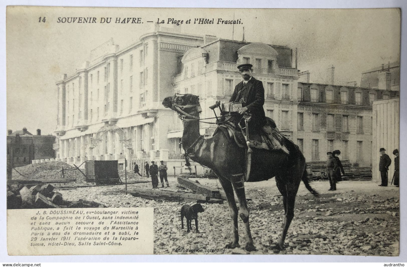 CPA 76 LE HAVRE LA PLAGE Et HOTEL FRASCATI - Doussineau DROMADAIRE - Laparotomie - Ohne Zuordnung