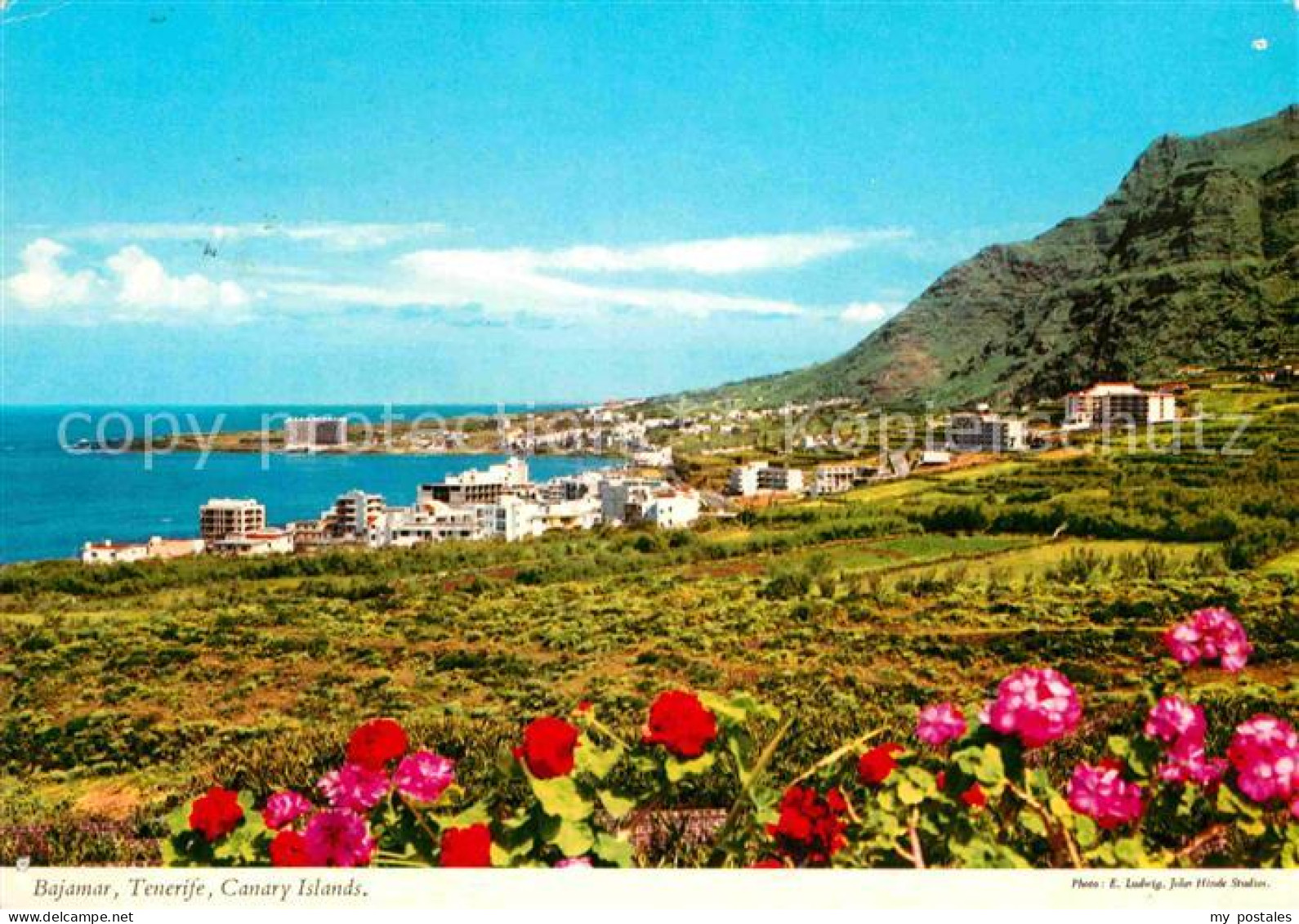 72771047 Bajamar Tenerife Punta Del Hidalgo Panorama Kueste Bajamar Tenerife - Andere & Zonder Classificatie