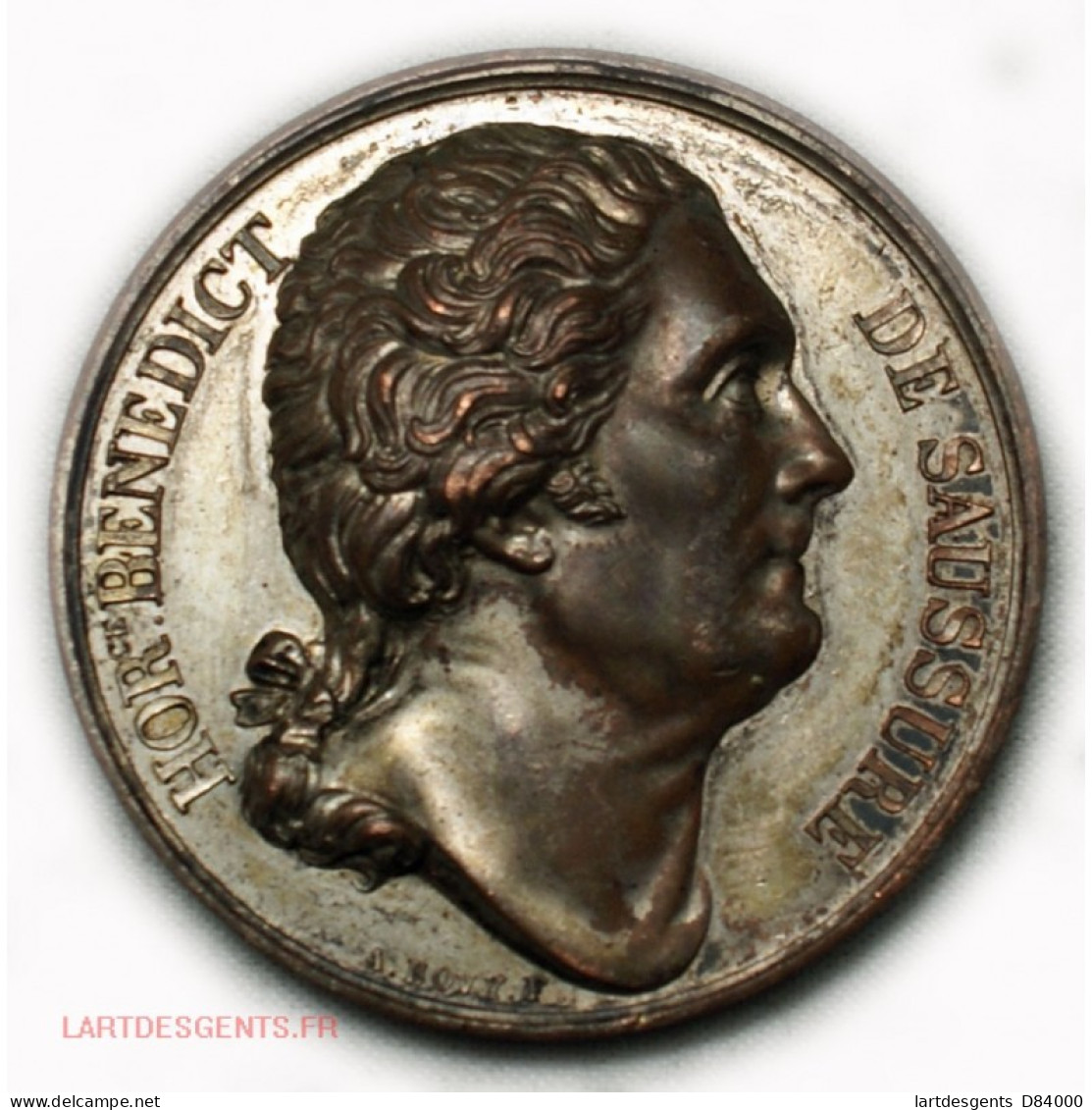 Médaille B. De Saussure, Personnage Illustre 1823 Par Bovy - Royaux / De Noblesse