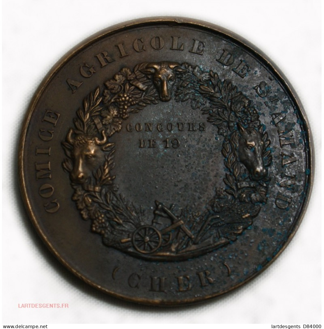 Médaille Comice Agricole De ST AMAND (cher) Concours De 19.. - Royal / Of Nobility