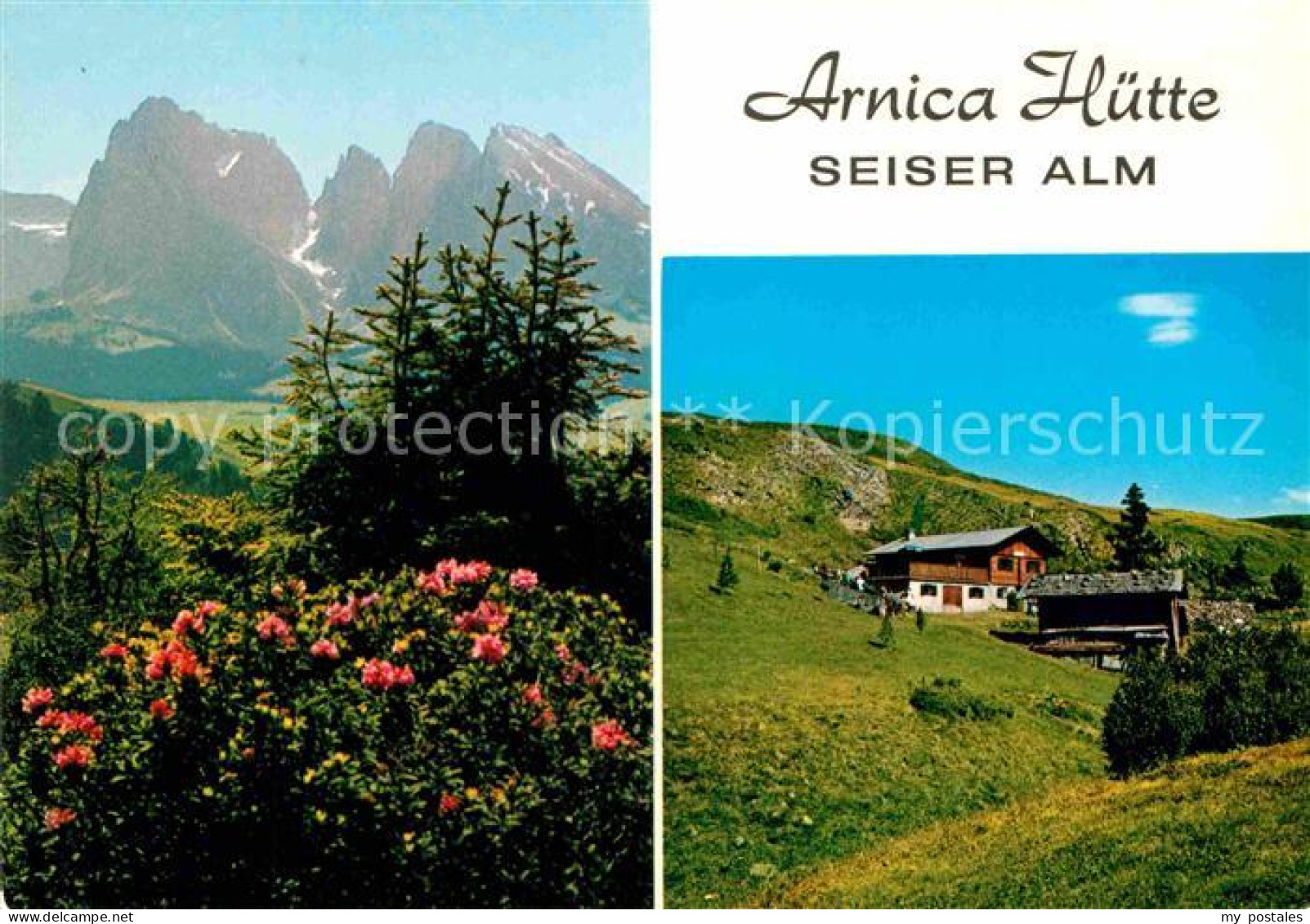 72770392 Seiser Alm Dolomiten Arnica Huette Jausenstation Dolomiten  - Sonstige & Ohne Zuordnung