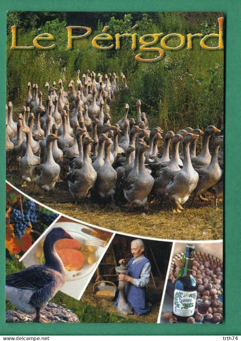 Le Périgord ( Oies, Gavage, Foie Gras, Vignes, Raisins, Apéritif Bouteille De Quinqui  Noix ) - Sonstige & Ohne Zuordnung