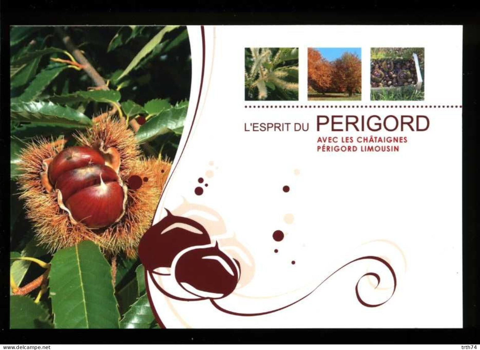 24 Esprit Du Périgord Limousin Les Châtaignes - Other & Unclassified