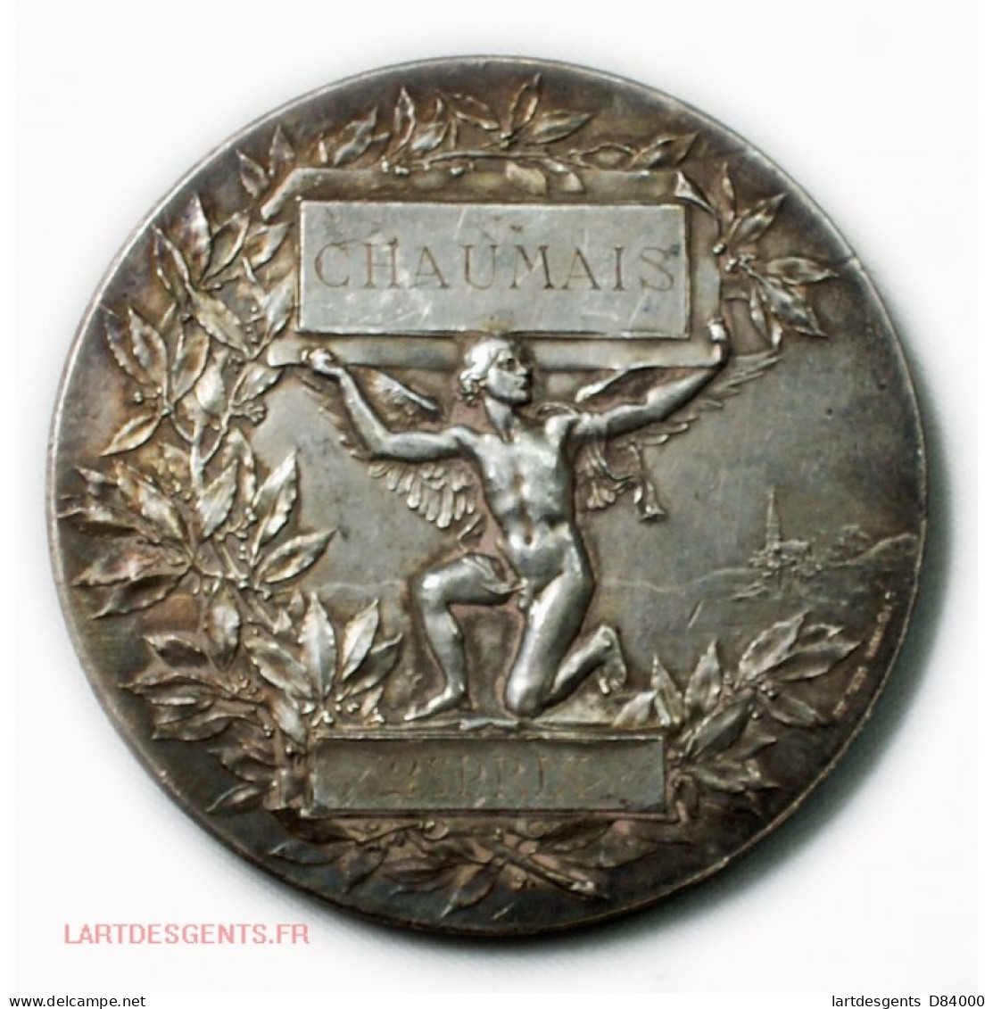 Médaille Bronze Argenté Par Henri DUBOIS 1897-1898 - Royaux / De Noblesse