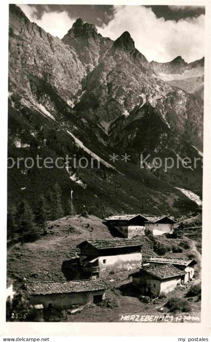 72770239 Herzebenalm Stubaital Stubaier Alpen Herzebenalm - Altri & Non Classificati