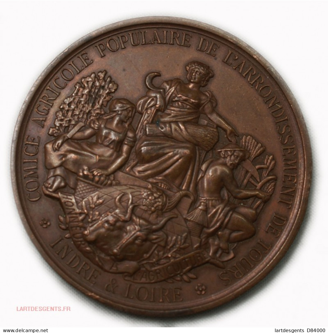 Médaille Comice Agricole De TOURS Indre Et Loire, Lartdesgents - Royal / Of Nobility