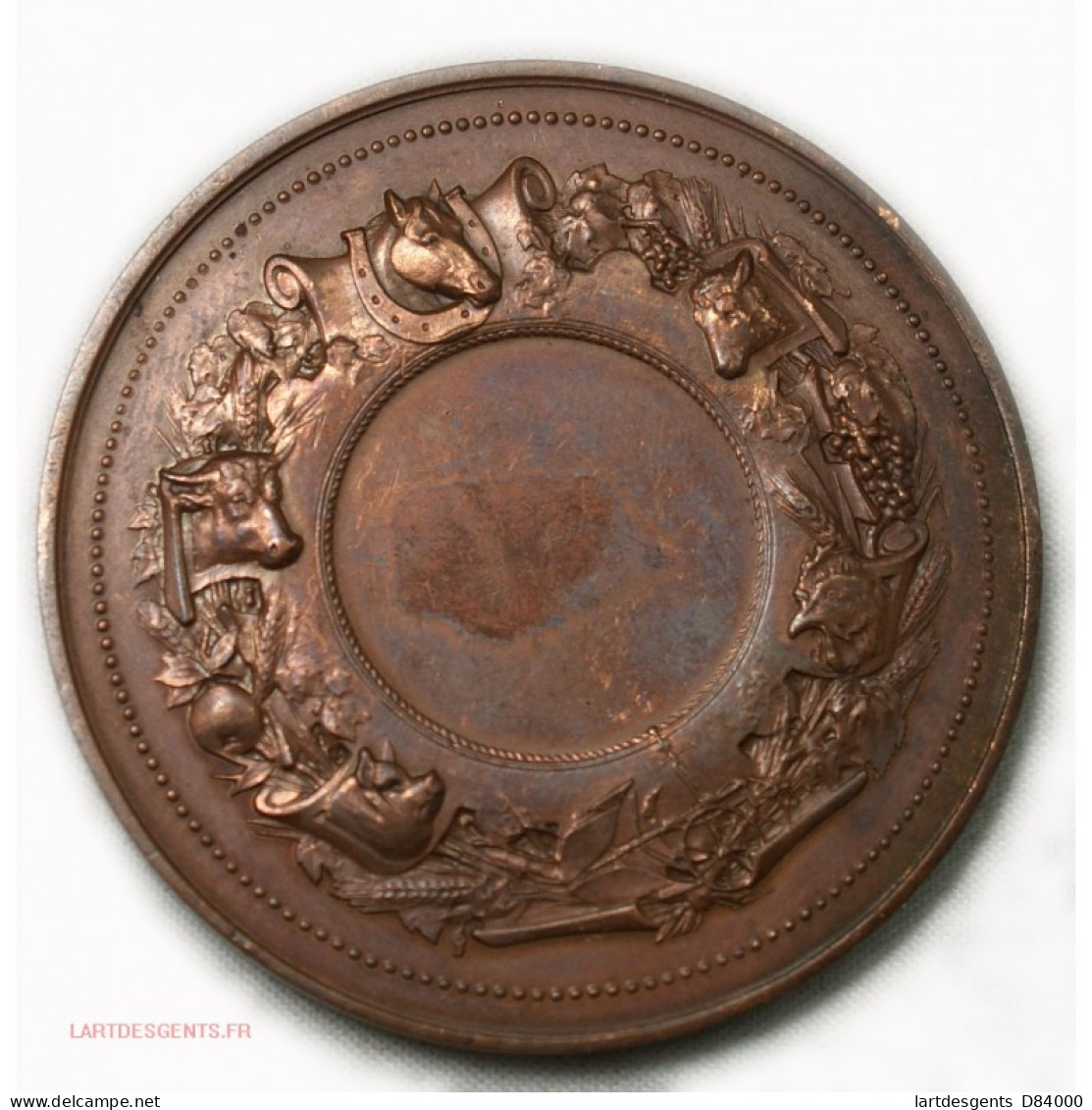 Médaille Comice Agricole De TOURS Indre Et Loire, Lartdesgents - Royal / Of Nobility