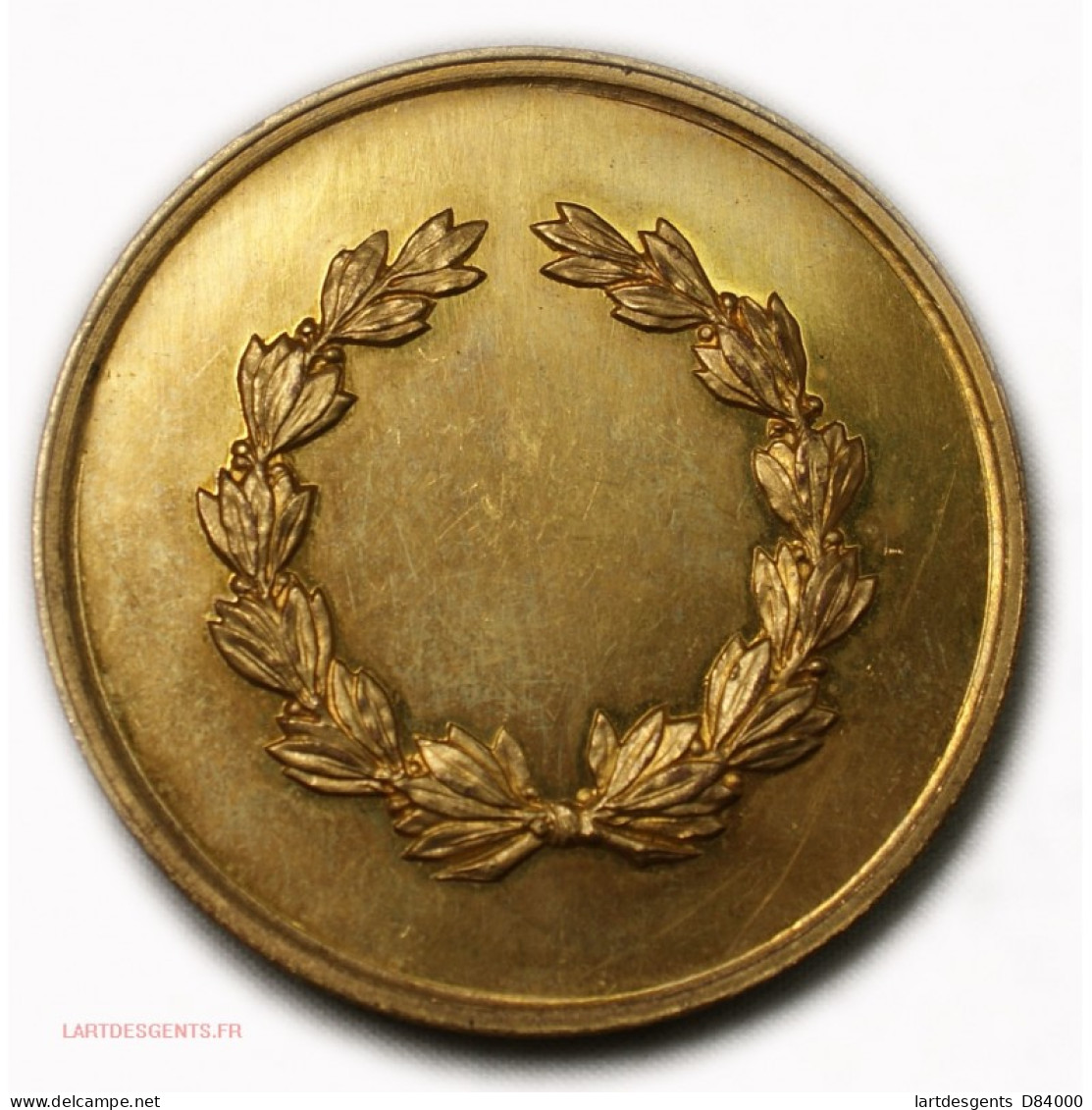 Médaille Congrès De Paris 1875, Topographie De France Par P.DAUSSIN - Adel