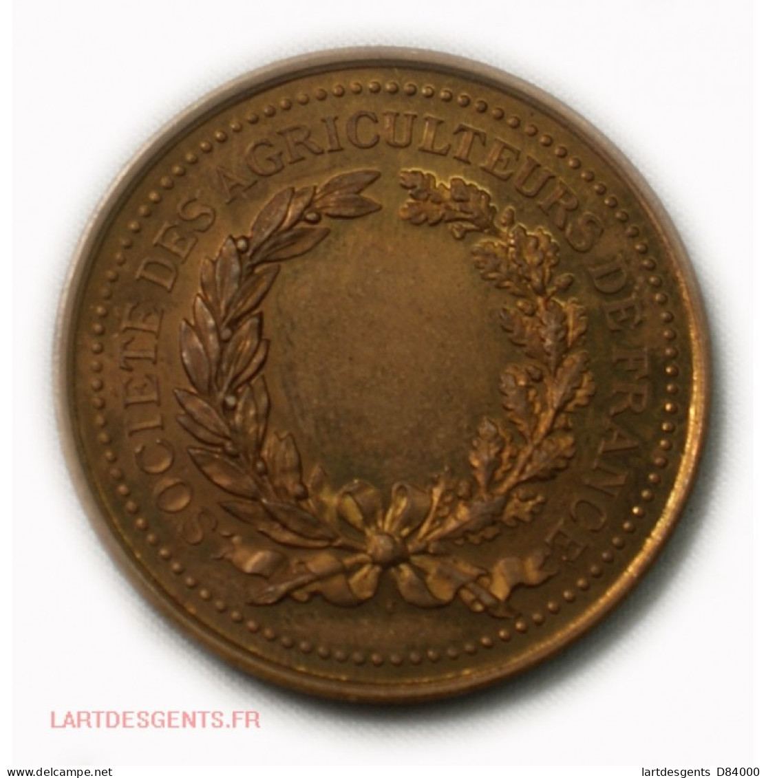Médaille Ste Des Agriculteurs De France 1878, Lartdesgents - Adel