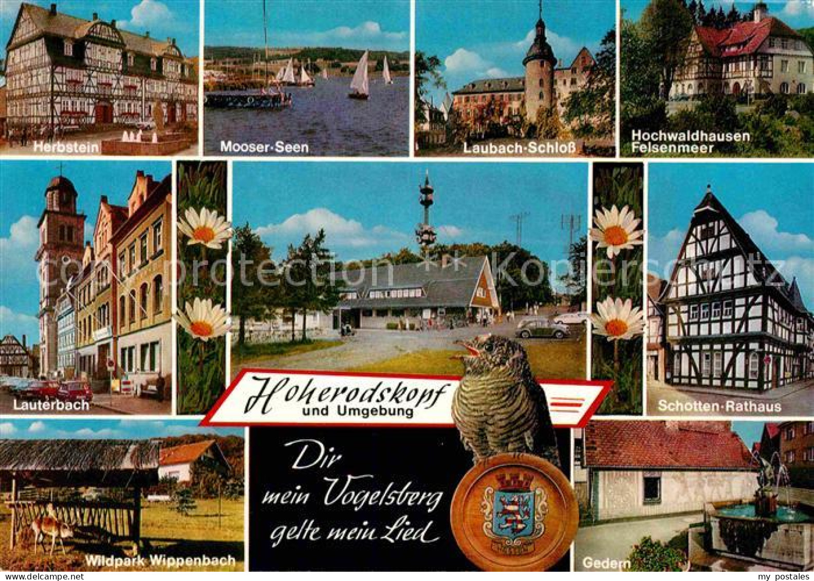 72770059 Herbstein Lauterbach Hoherodskopf Wildpark Gedern Laubach Schloss Moose - Andere & Zonder Classificatie