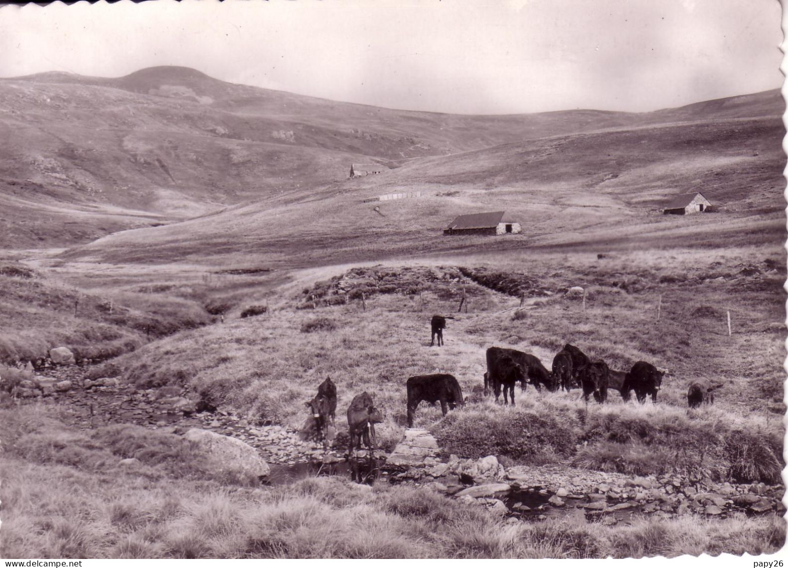 Cpm Cpsm Le Plomb Du Cantal - Other & Unclassified