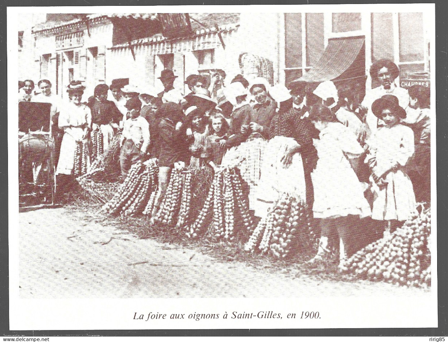 1983  --  LA FOIRE AUX OIGNONS A SAINT GILLES EN 1900 . 4B139 - Ohne Zuordnung