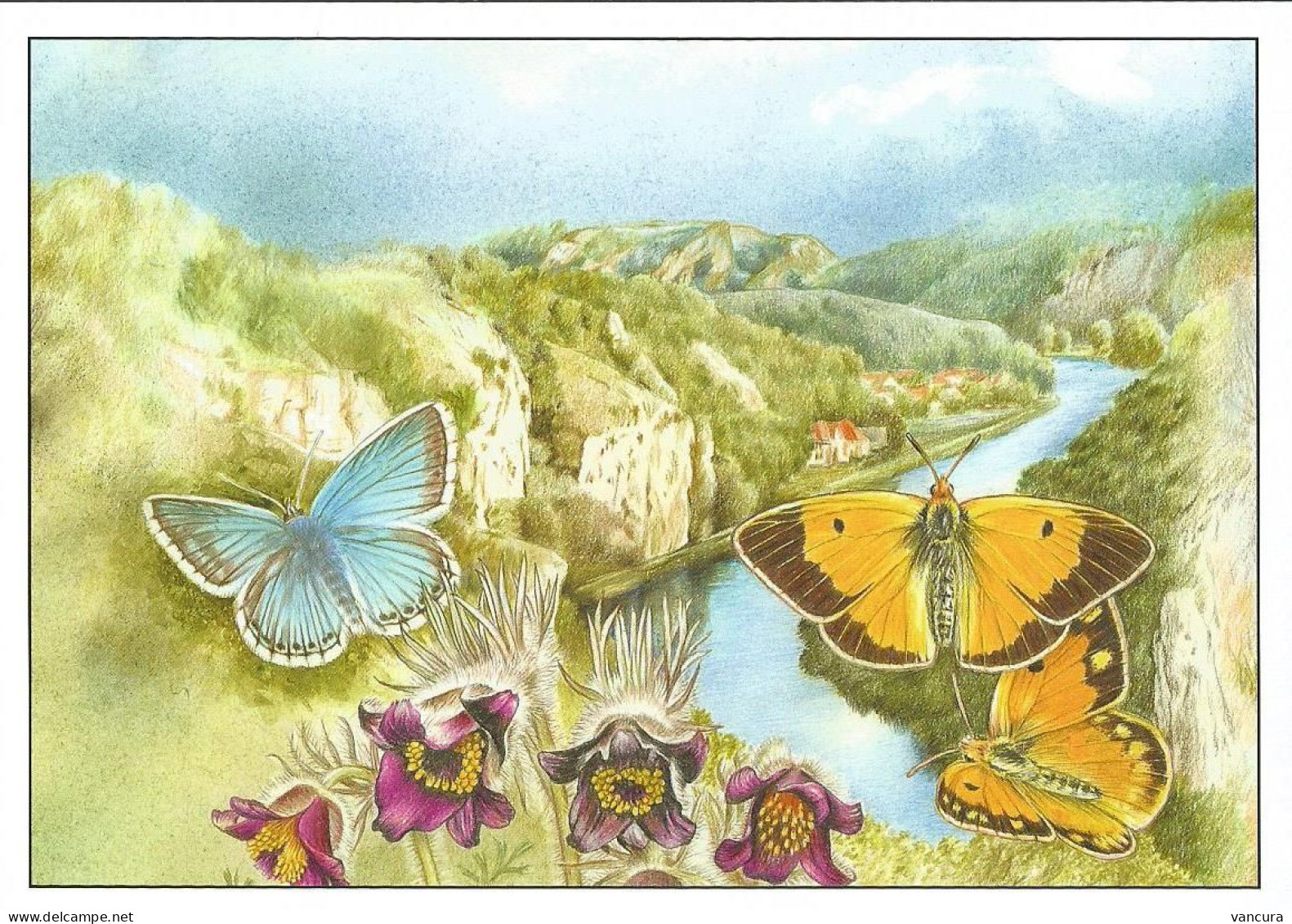 Picture Postcard Czech Republic - Butterfly 2013 - Papillons
