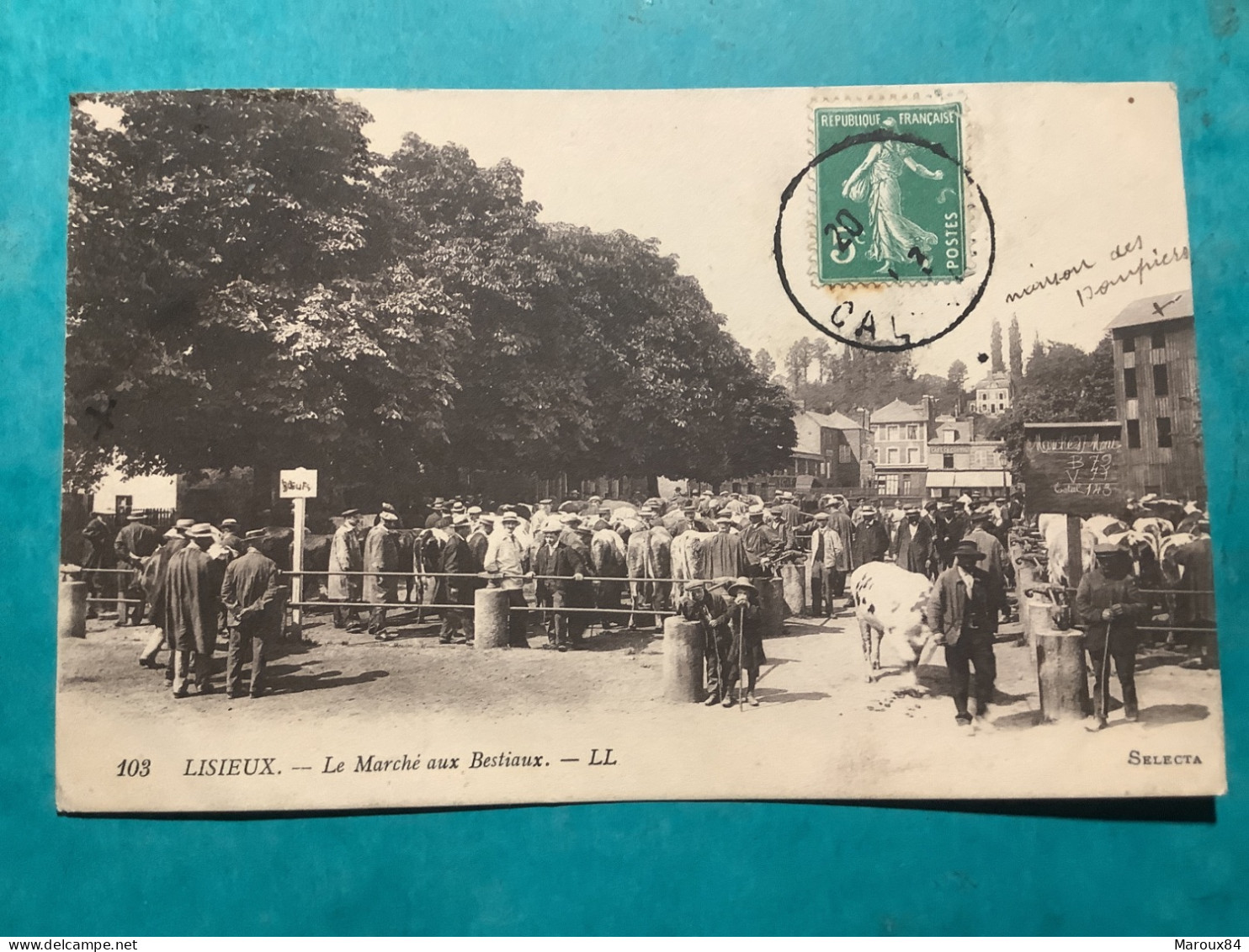 14/ Lisieux Le Marché Aux Bestiaux - Lisieux