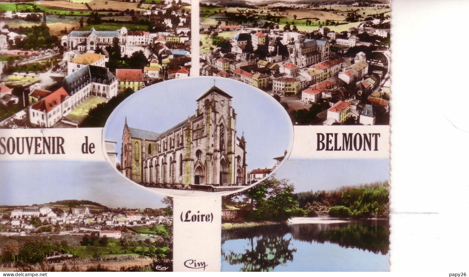 Cpm Cpsm   Belmont Multivues - Belmont De La Loire