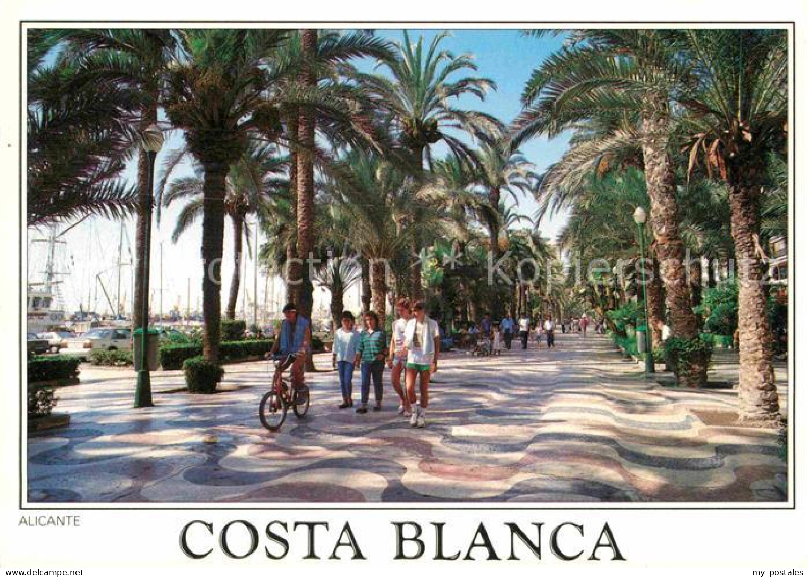 72769398 Alicante Palmenallee Alicante - Andere & Zonder Classificatie