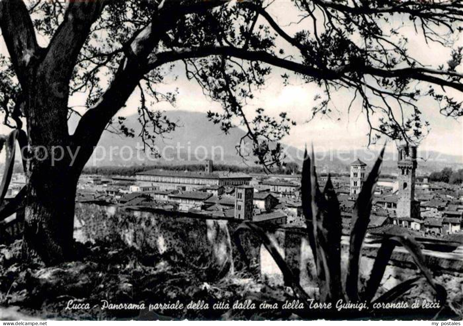 72769108 Lucca Panorama Parziale Della Citta Dalla Cima Della Torre Guinigi Coro - Sonstige & Ohne Zuordnung