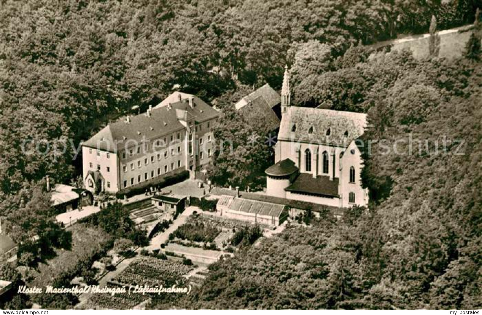 72767903 Marienthal Rheingau Fliegeraufnahme Kirche Marienthal Rheingau - Rüdesheim A. Rh.