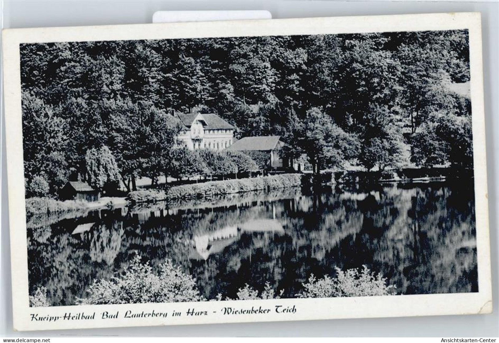 50619109 - Bad Lauterberg Im Harz - Bad Lauterberg