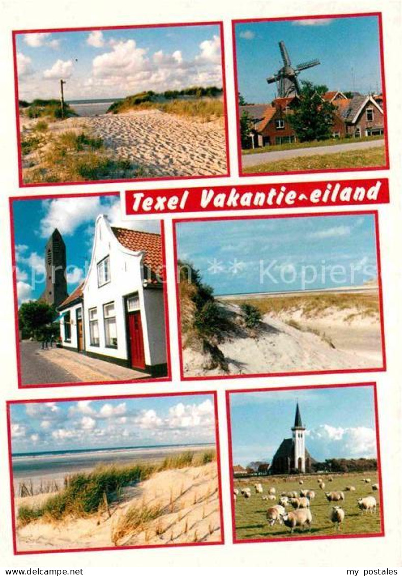72765456 Texel Vakantie Eiland Muehle Schafe Strand  - Autres & Non Classés