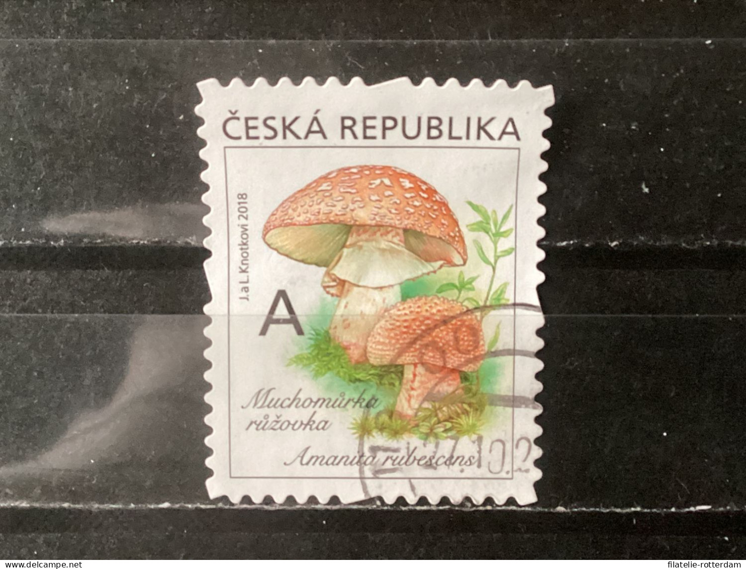 Czech Republic / Tsjechië - Mushrooms (A) 2018 - Oblitérés