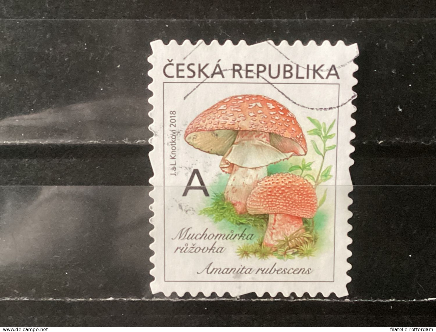 Czech Republic / Tsjechië - Mushrooms (A) 2018 - Used Stamps