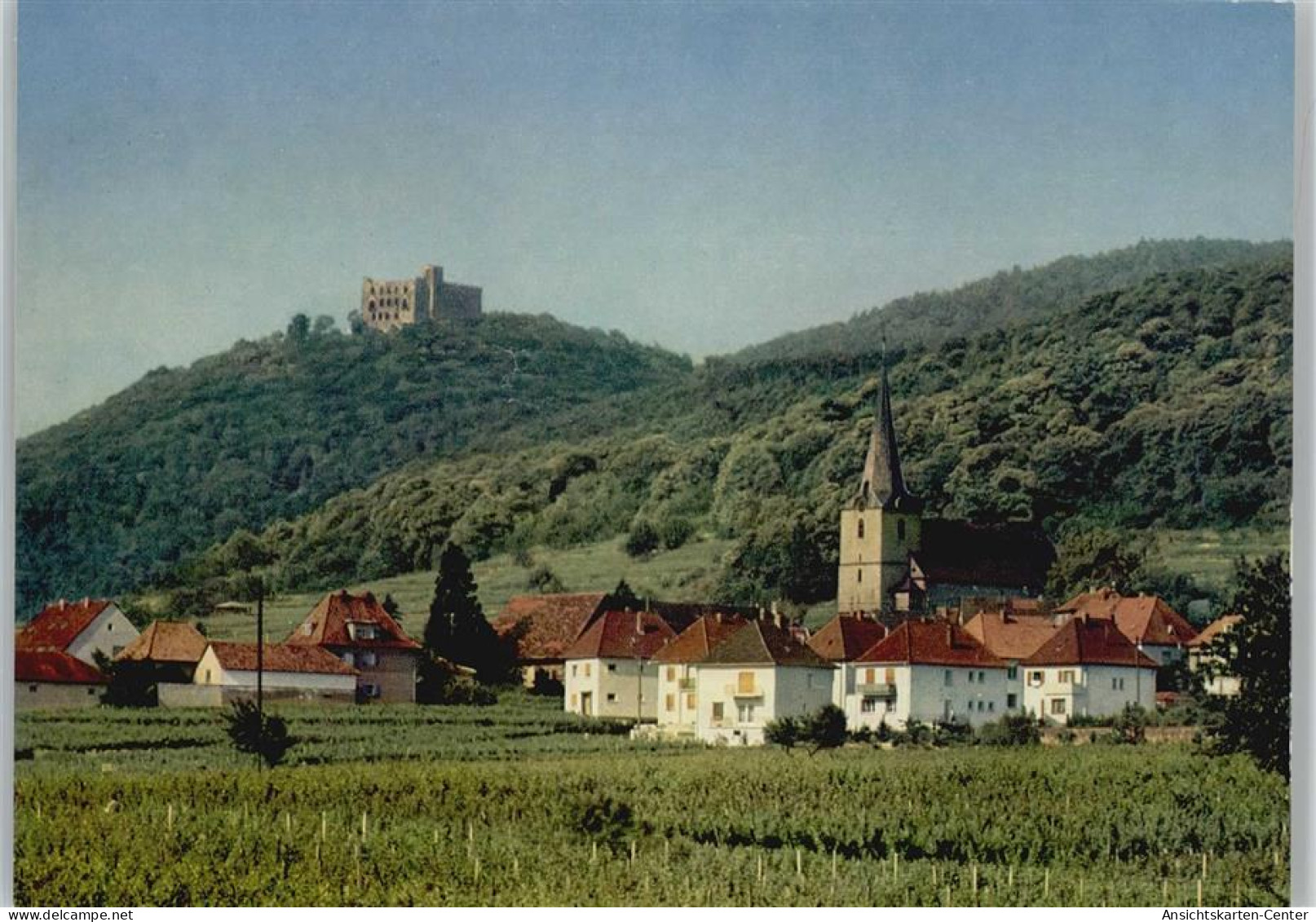 10045209 - Hambach An Der Weinstrasse - Neustadt (Weinstr.)