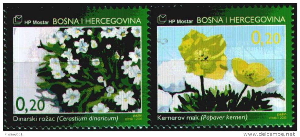 Bosnia Croatia 2006 Flora &ndash; Endemic Plants, Cerastium Dinaricum, Papaver Kerneri, Set In Pair MNH - Bosnia Erzegovina