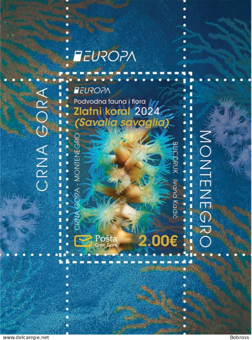 2024 Europe, Underwater Fauna And Flora Golden Coral (Savalia Savaglia) Montenegro, MNH - Montenegro