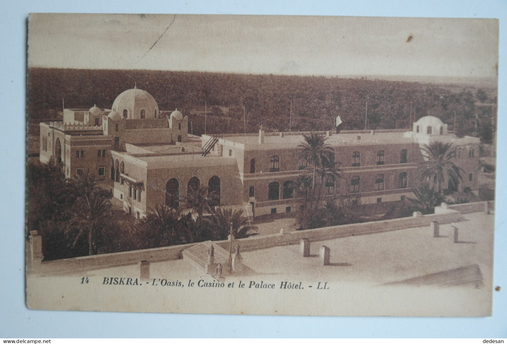 Cpa Sépia 1924 Biskra L'oasis Le Casino Et Le Palace Hôtel - NOUF10 - Biskra