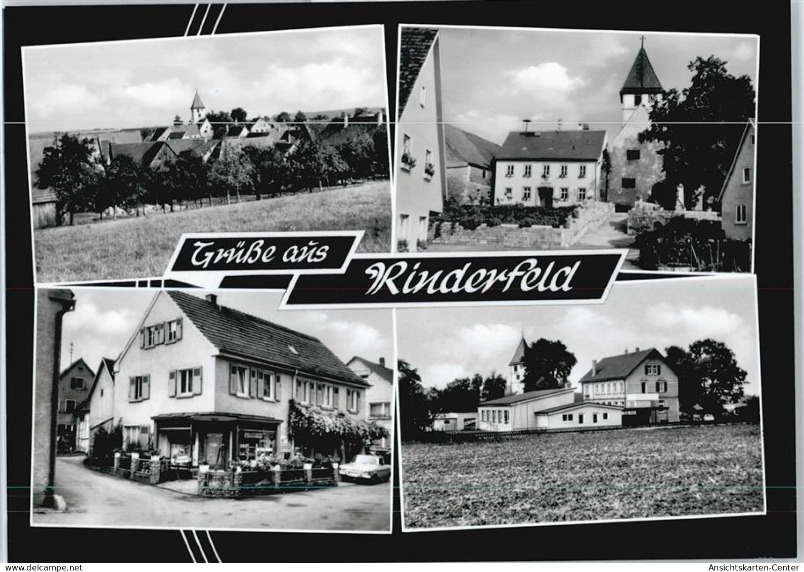 50367809 - Rinderfeld - Autres & Non Classés