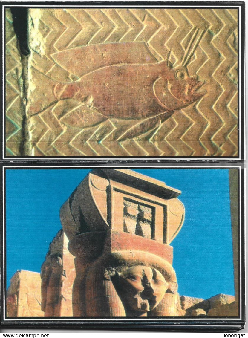 LIBRO FLEXO CON 18 VISTAS DEL TEMPLO MORTUORIO DE HATSHEPSUT.- ( EGYPT / EGIPTO ) - Andere & Zonder Classificatie