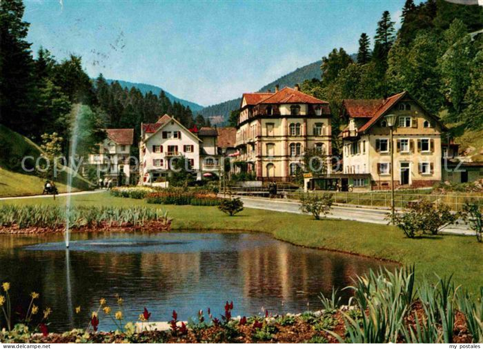 72761795 Bad Rippoldsau Schwarzwald Hotel Kranz Teich Mineral Und Moorbad Bad Ri - Sonstige & Ohne Zuordnung