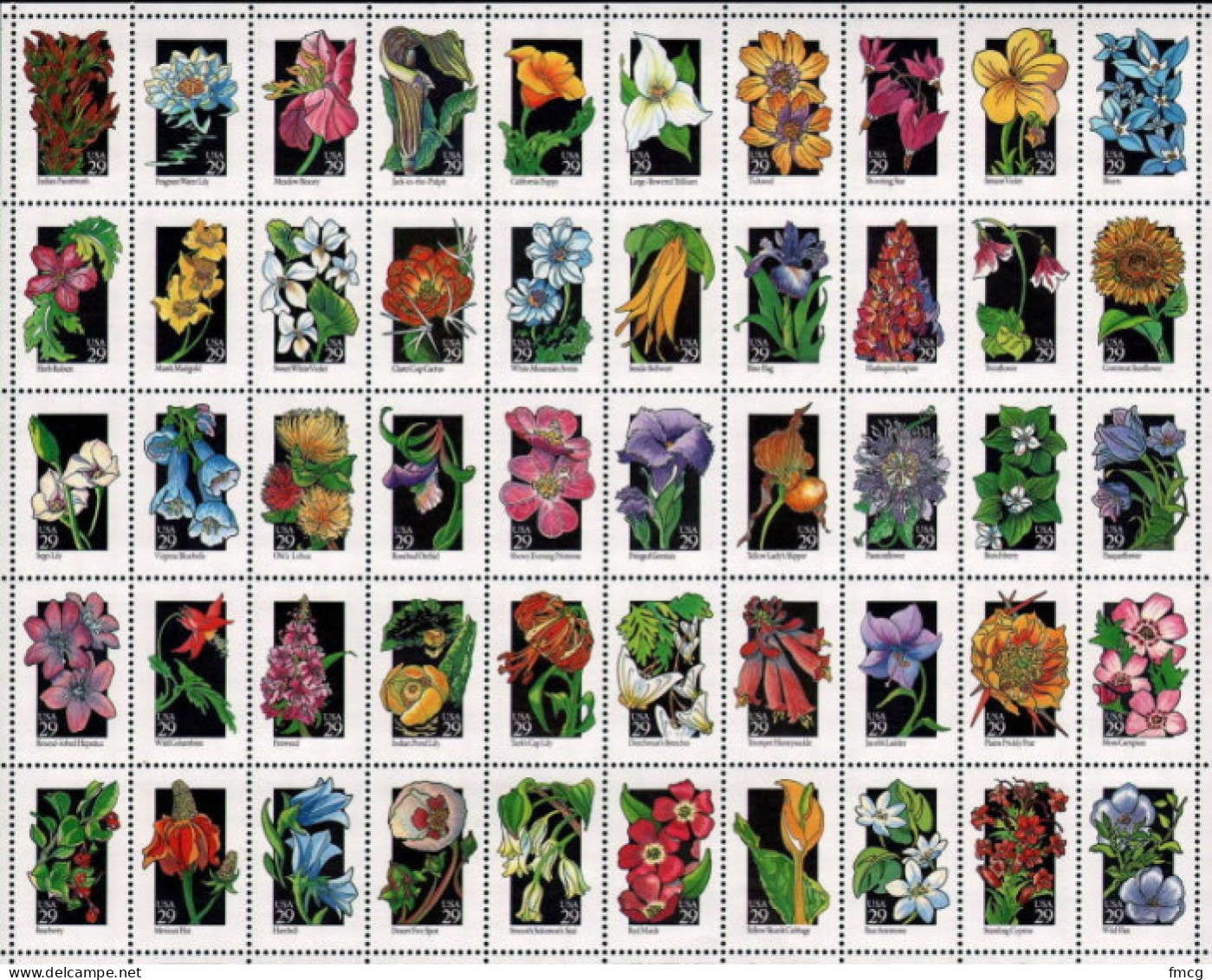 1992 Wildflowers - Sheet Of 50 , Mint Never Hinged - Unused Stamps