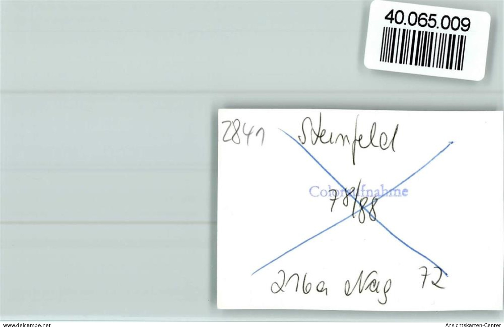 40065009 - Steinfeld (Oldenburg) - Other & Unclassified