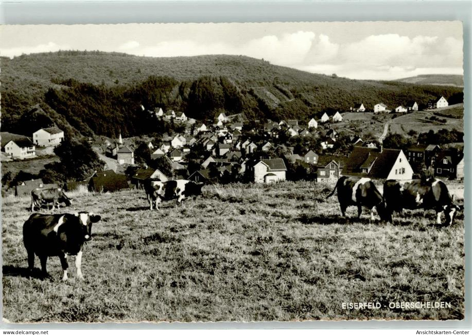 13142409 - Oberschelden - Siegen