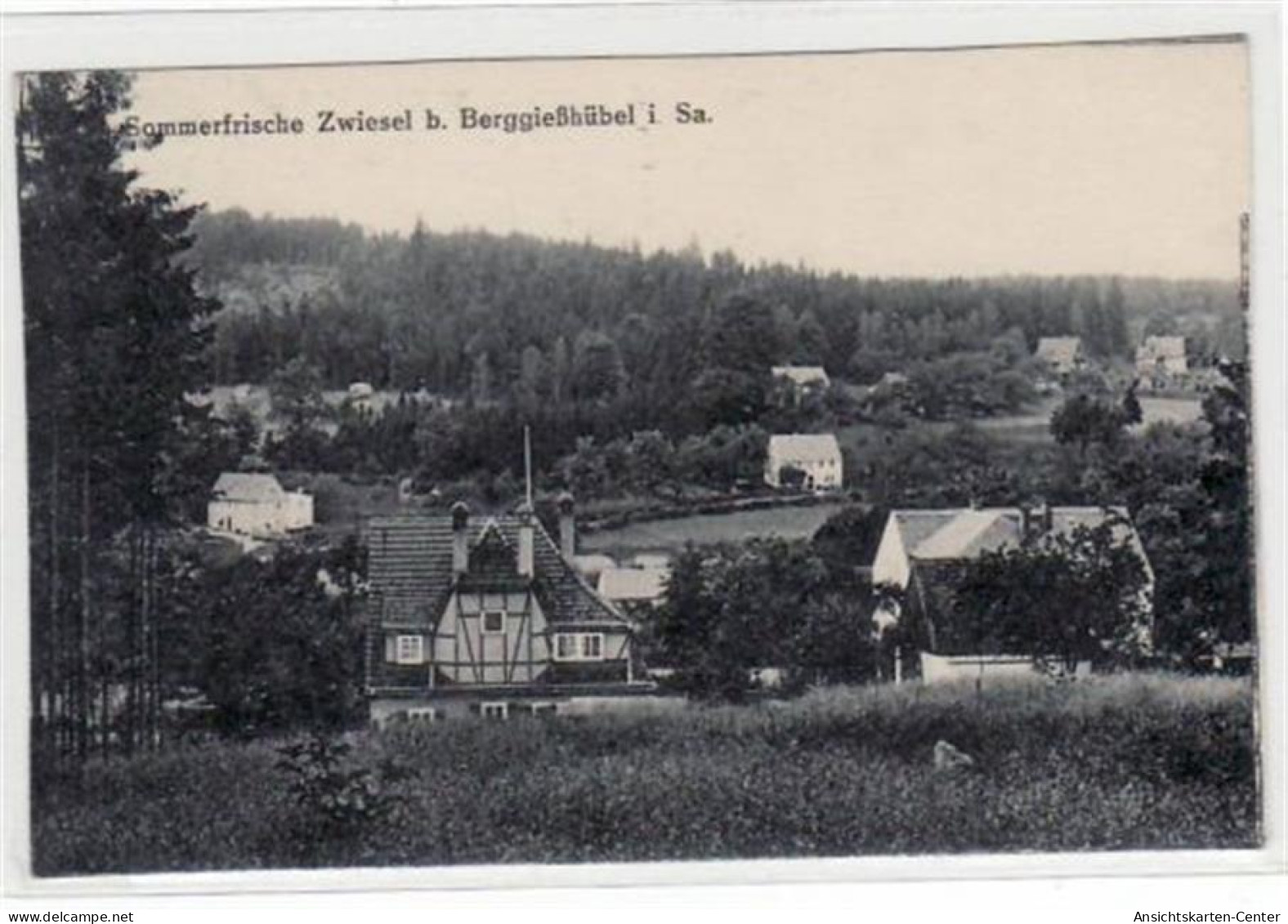 39030109 - Zwiesel Bei Bad Berggiesshuebel Mit Teilansicht Ungelaufen  Gute Erhaltung. - Autres & Non Classés