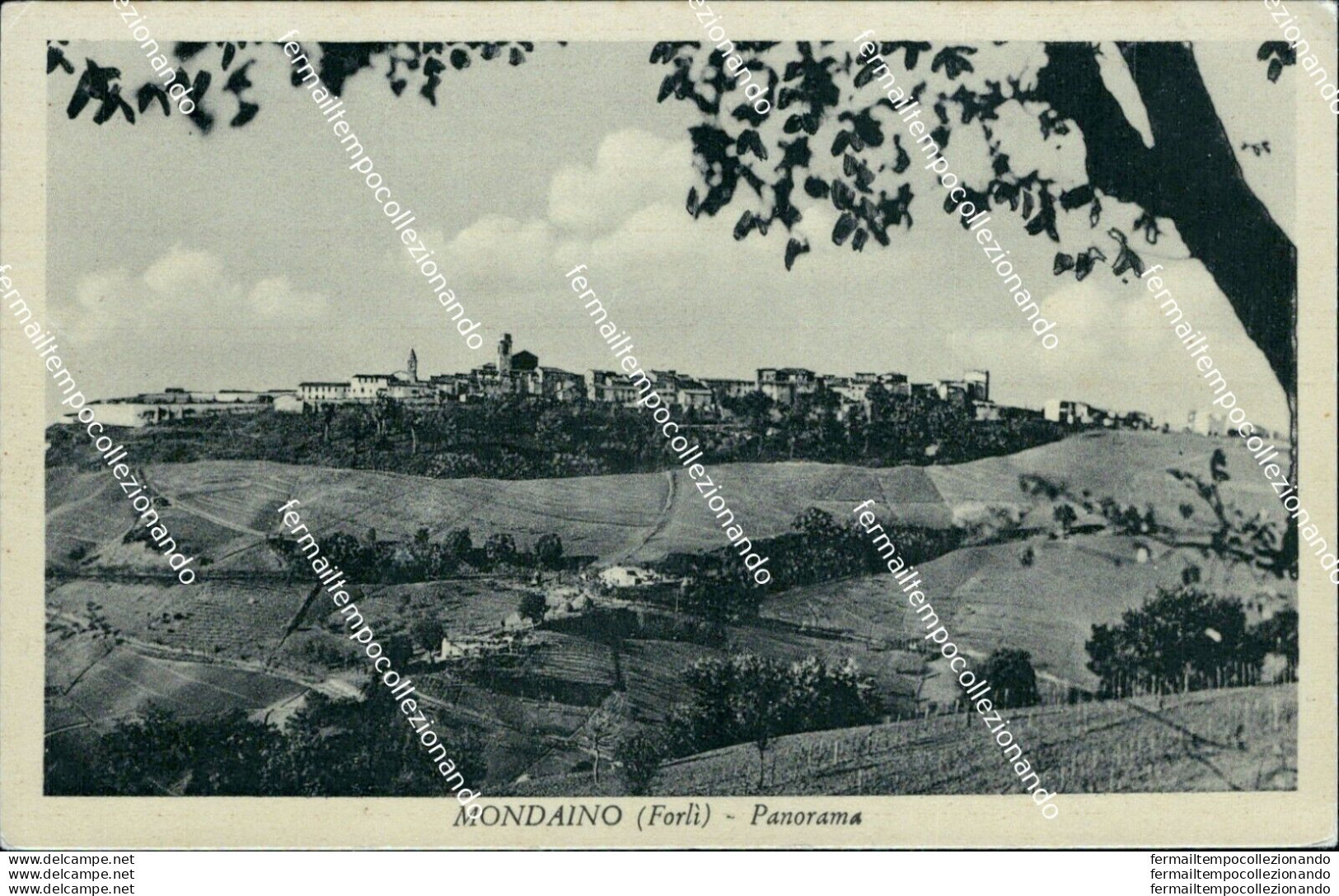 Bc281 Cartolina Mondaino Panorama Provincia Di Forli' - Forli