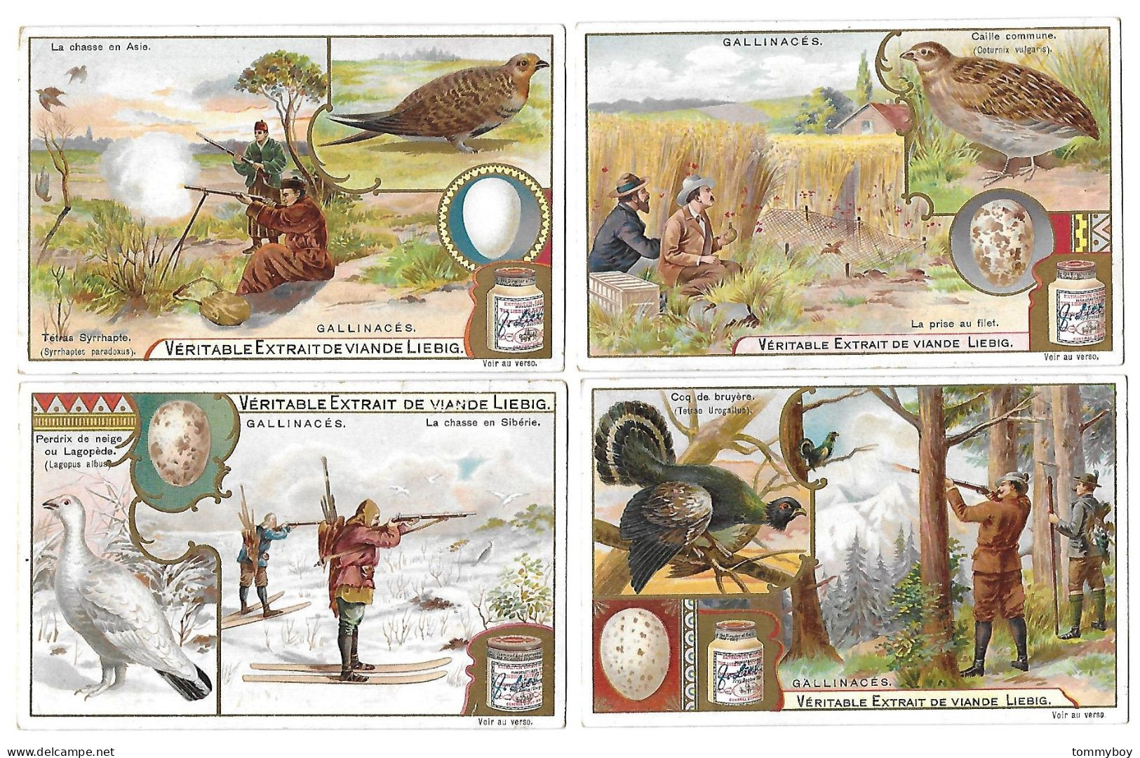 S 703, Liebig 6 Cards, Gallinacés (ref B17) - Liebig