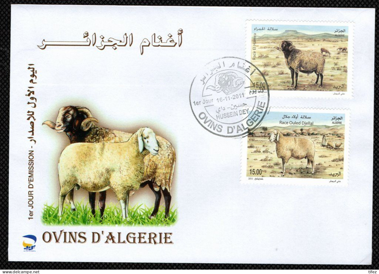FDC/Année 2011-N°1606/1607 : Ovins D' Algérie  (Oblitération H.Dey) - Argelia (1962-...)