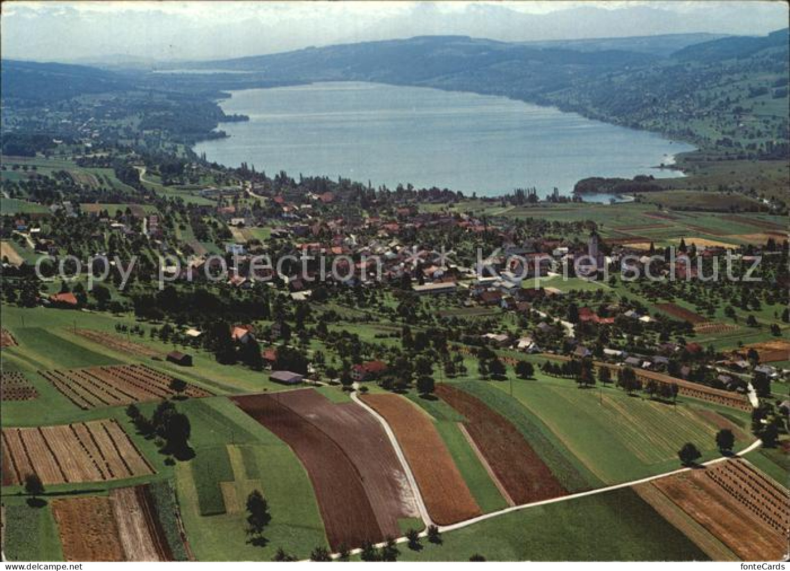 12542947 Hallwilersee Fliegeraufnahme  Hallwil - Andere & Zonder Classificatie