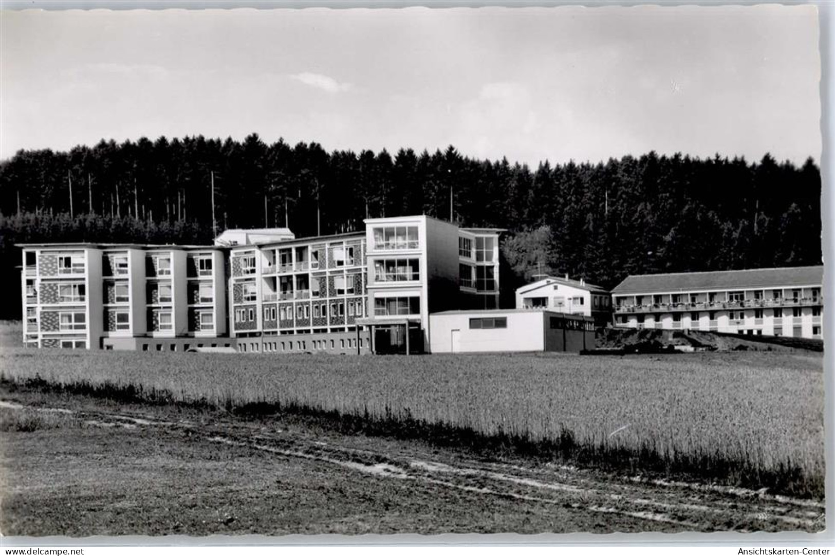 51436809 - Donaueschingen - Donaueschingen