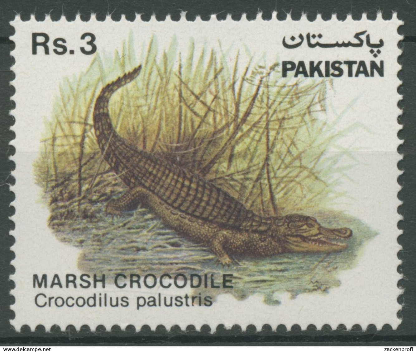 Pakistan 1983 Sumpfkrokodil 587 Postfrisch - Pakistan