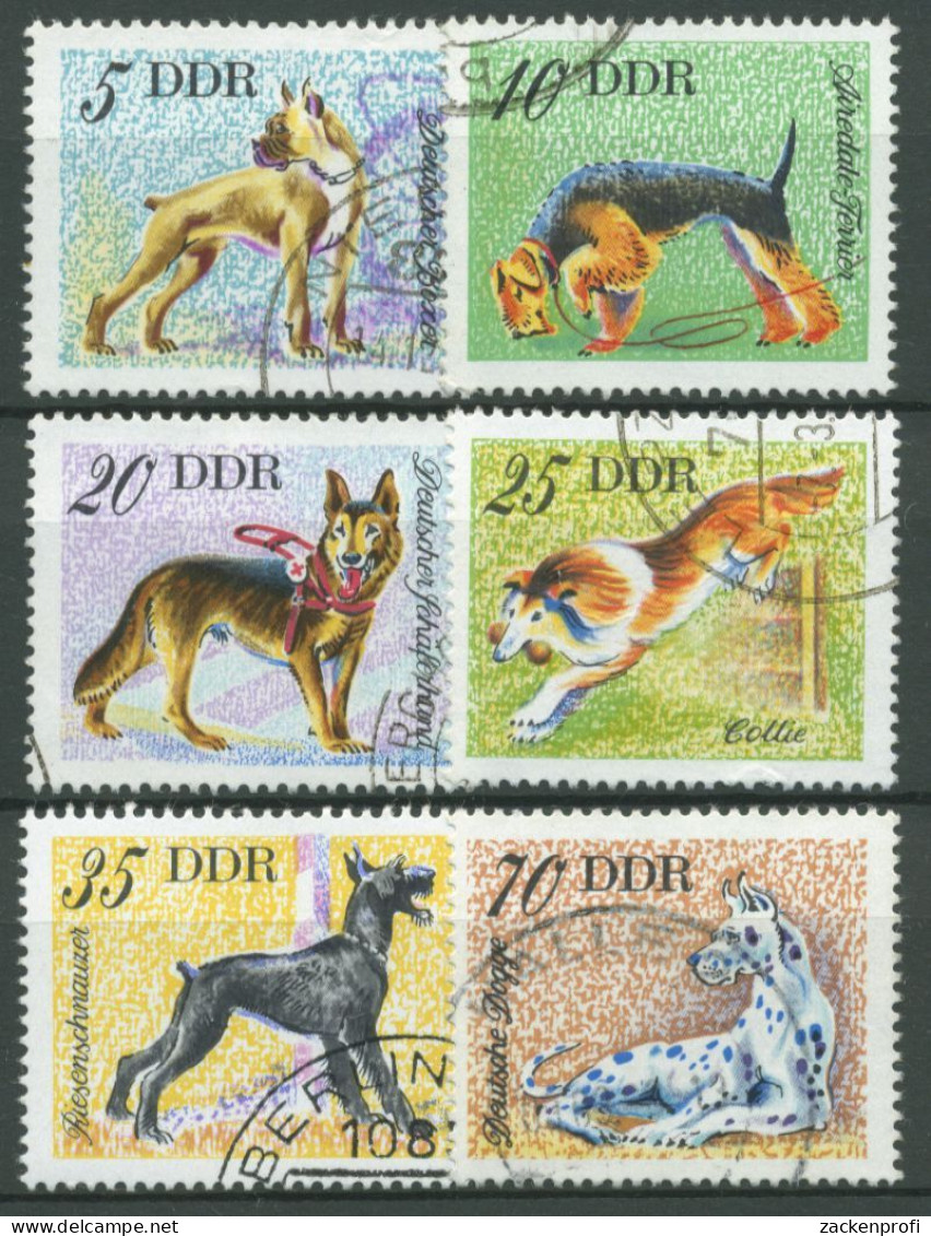 DDR 1976 Tiere Hunde Hunderassen 2155/60 Gestempelt - Gebraucht