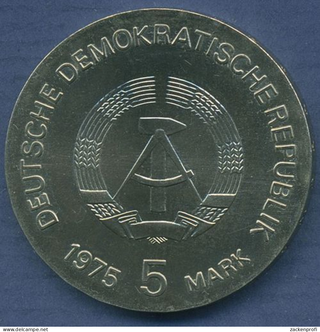 DDR 5 Mark 1975 Internationales Jahr Der Frau, J 1558 Vz/st (m2910) - 5 Marcos