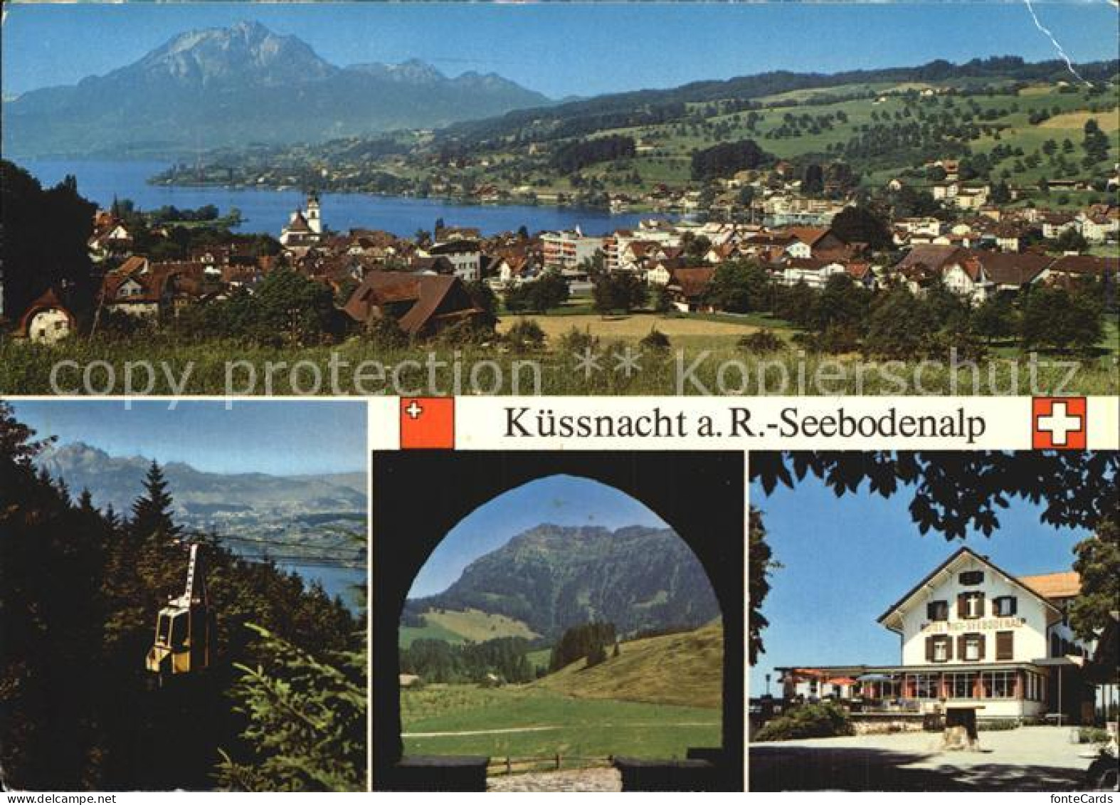 12485547 Kuessnacht Seebodenalb Kuessnacht Am Rigi - Autres & Non Classés